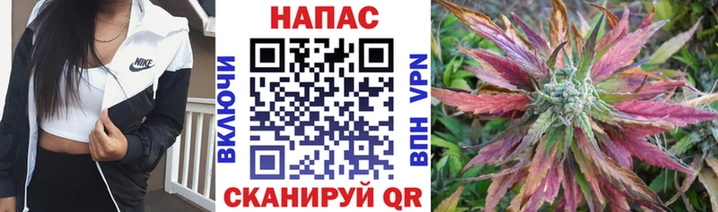 Где купить наркотики Сковородино Псилоцибиновые грибы Мефедрон Конопля МЕТАМФЕТАМИН A PVP