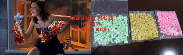 прущие грибы Балахна