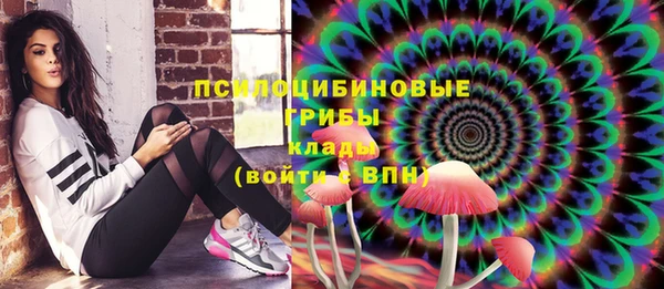 ECSTASY Армянск