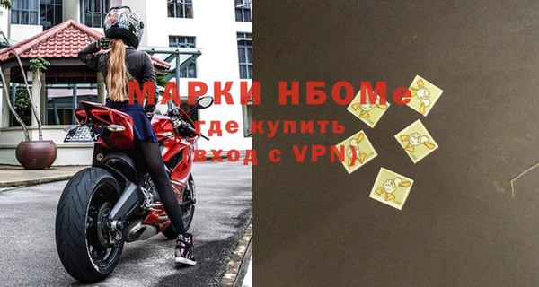 прущие грибы Балахна