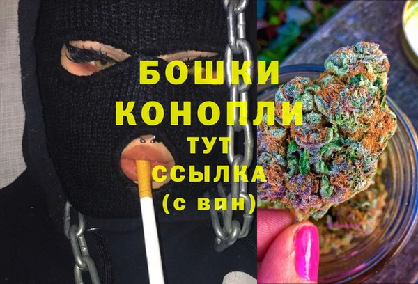 прущие грибы Балахна