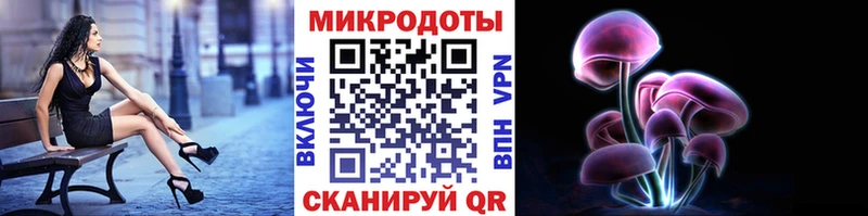 Псилоцибиновые грибы Psilocybe  купить закладку  Сковородино 